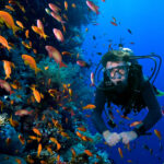 Gallery Thumbnail 1
