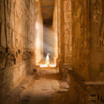 Gallery Thumbnail 0