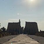 Gallery Thumbnail 16